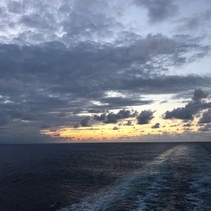 Meet your Posher, Josh